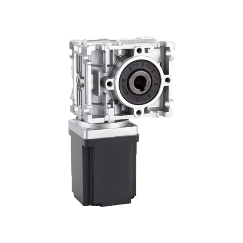 80mm BLDC Worm Gear Motor 12V  - Bldc Planetary Gear Motor 48V High Torque 评论和价格