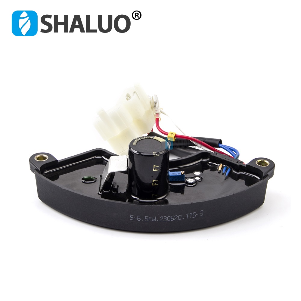 Universal 5KW 6.5KW AVR Three  - Cycloidal Reducer Bldc Motor 评论和价格