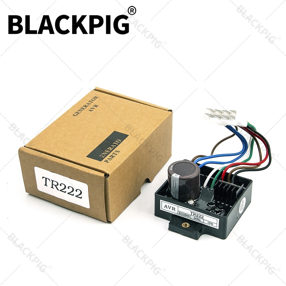 TR222 EG2500 AVR Automatic Vol - Cycloidal Reducer Bldc Motor 评论和价格